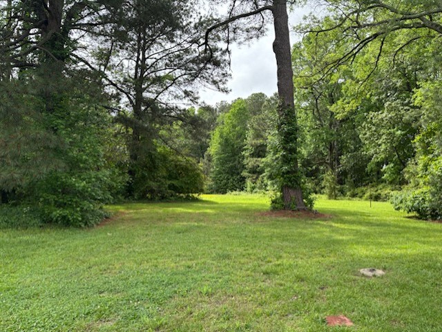 Gallery Photo 29